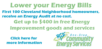 Community Energy Services