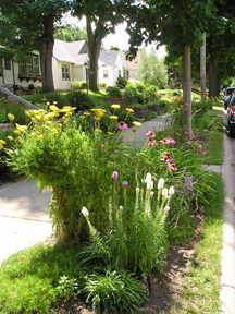 garden